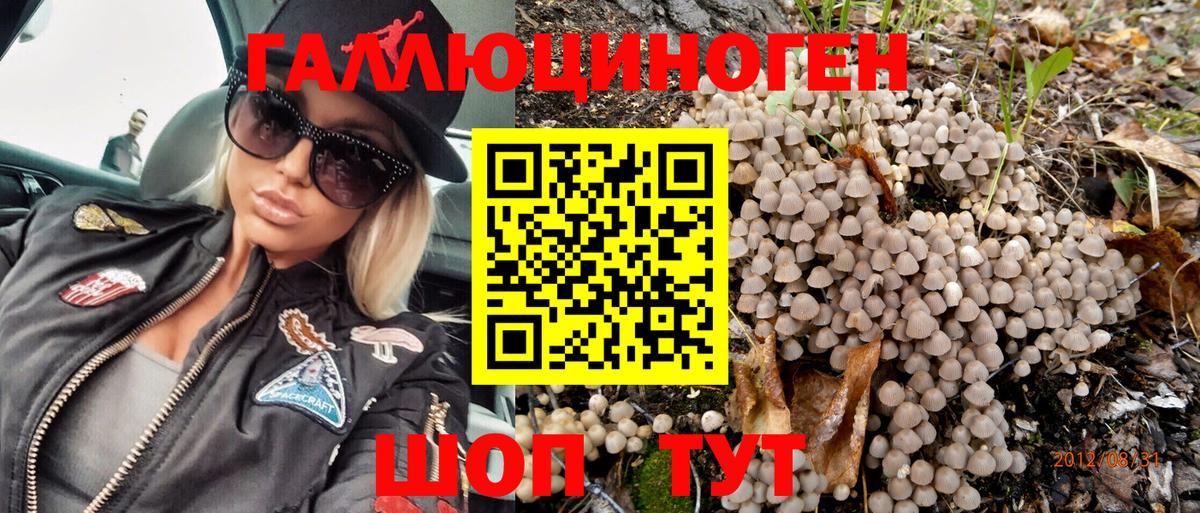 Псилоцибиновые грибы Psilocybe  где купить наркотик  Вход с VPN  Тихорецк  Галлюциногенные грибы Magic Shrooms 