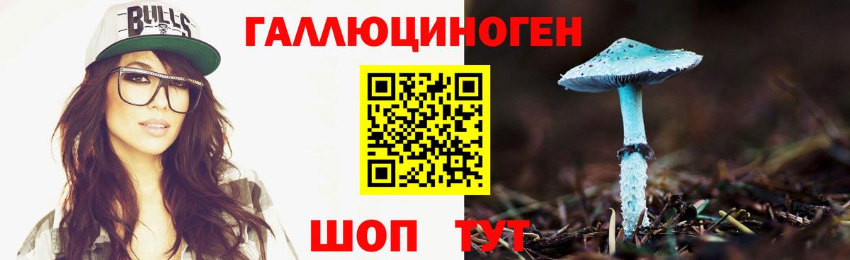 Галлюциногенные грибы Psilocybine cubensis Тихорецк